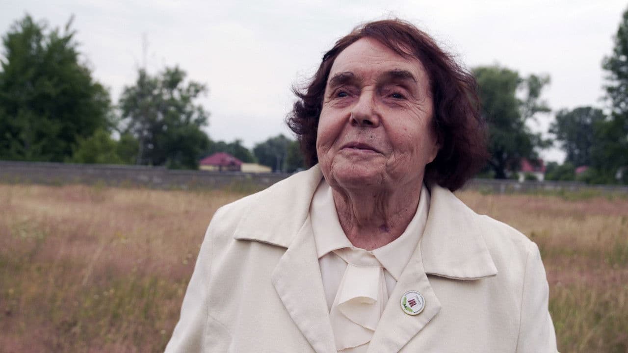 Among Neighbors Banner