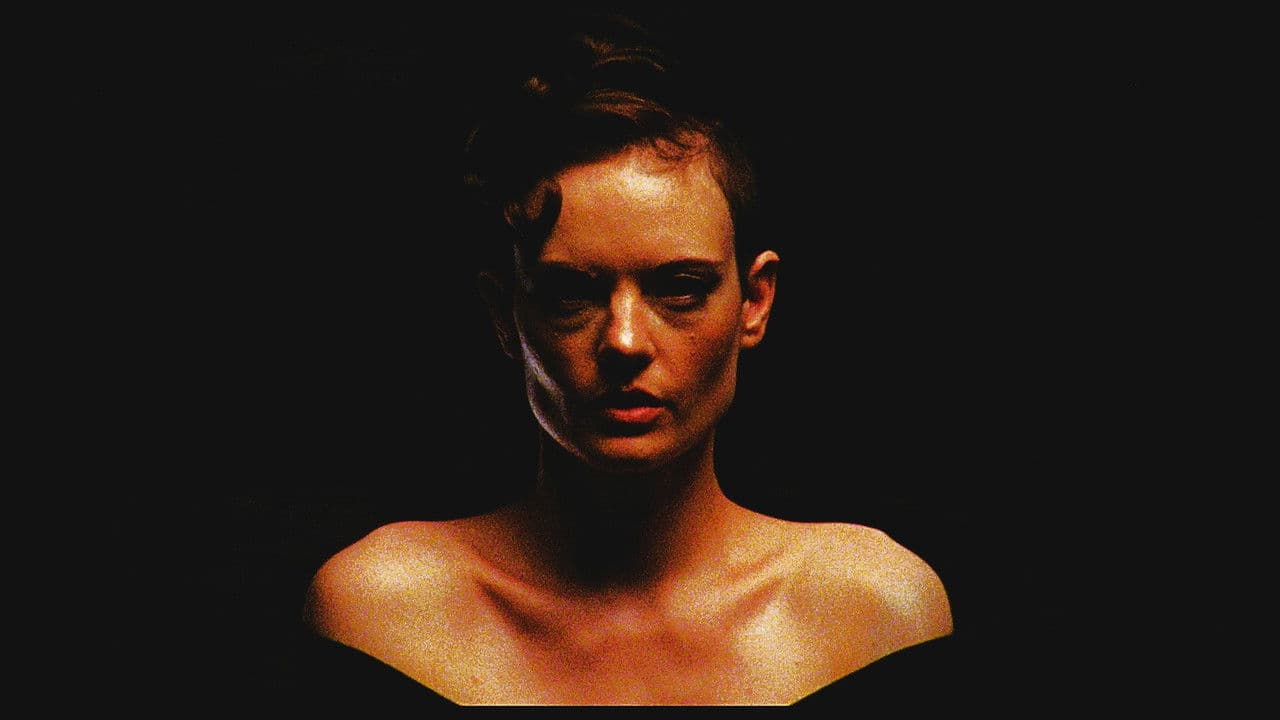 Black Eyed Susan Banner