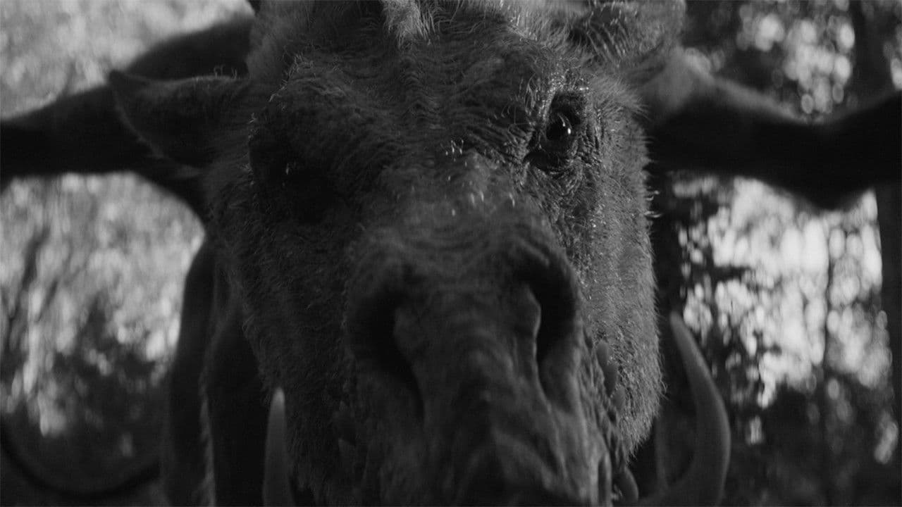 Em & Selma Go Griffin Hunting Banner