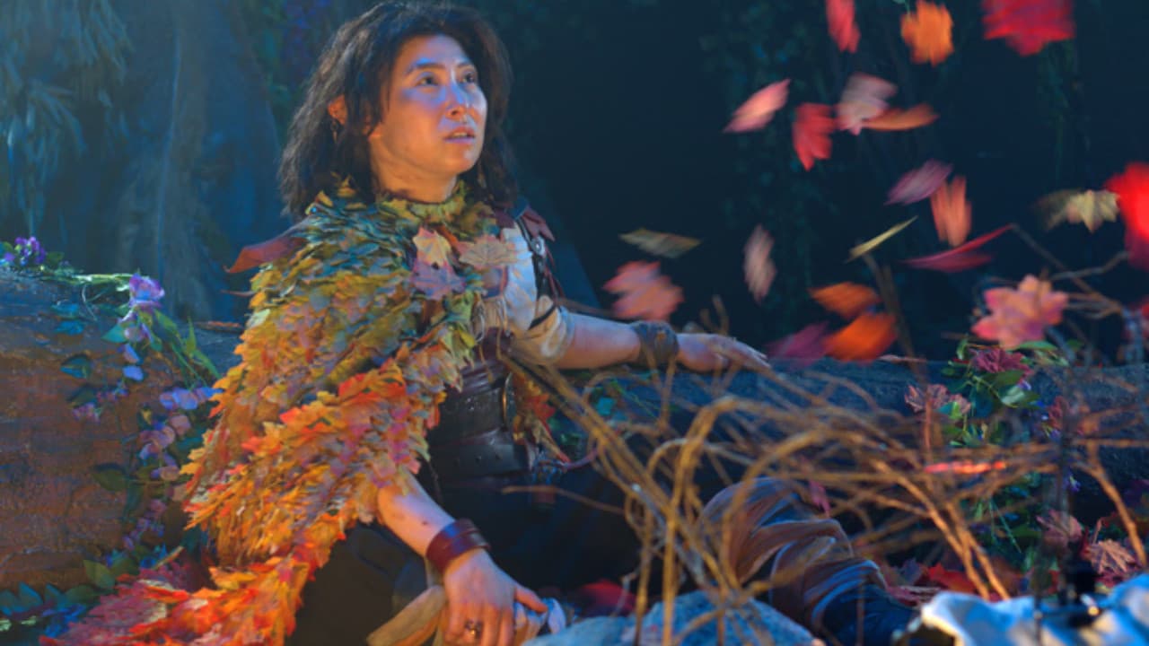 The Traveler & The Troll Banner