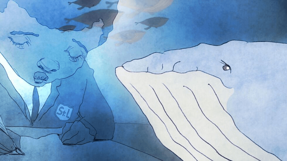 Whale 52 Banner