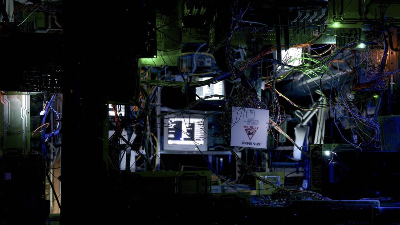 Quantum Suicide Banner