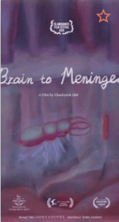 Brain to Meninges Banner