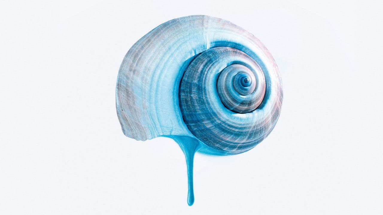 The Blue Trail Banner