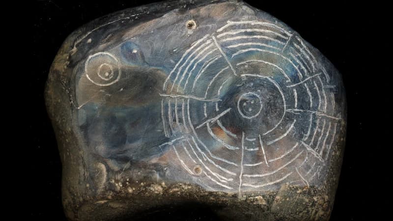 Witness: An Organima Film Banner