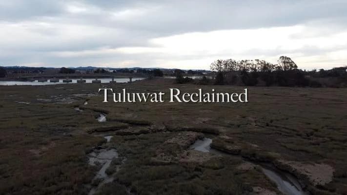 Tuluwat Reclaimed Banner