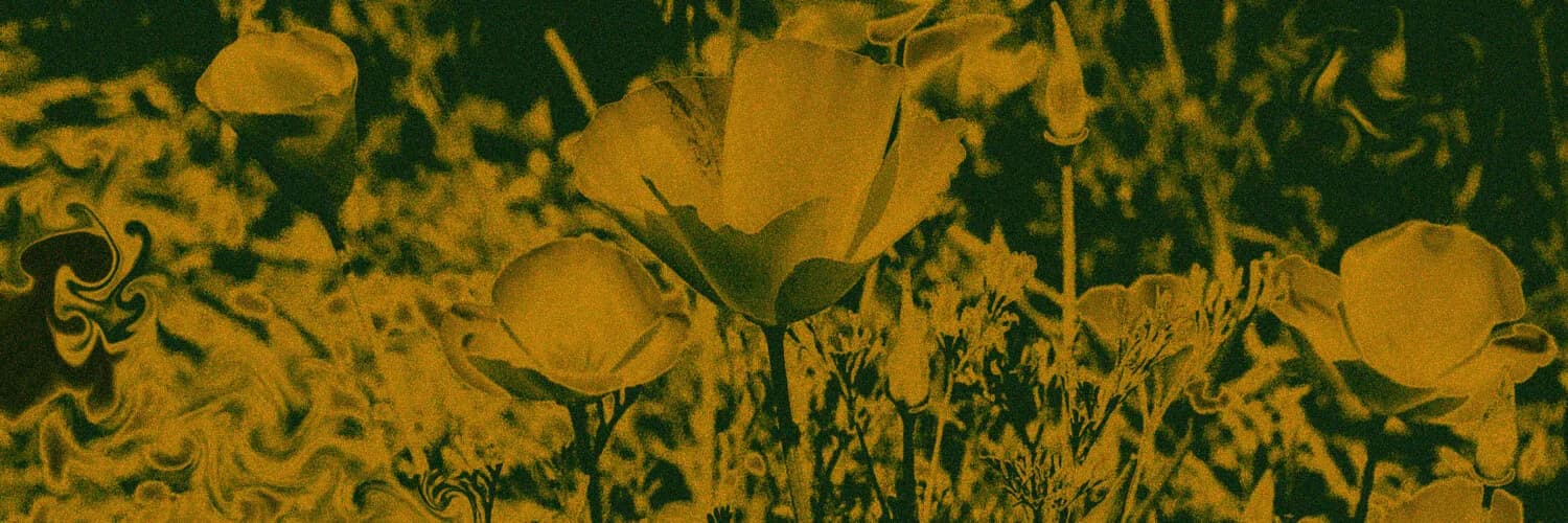 Temecula Valley Film Festival Banner