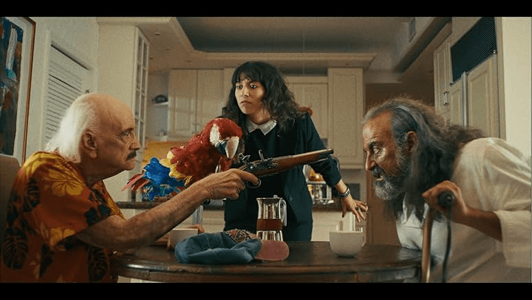The Old Man and the Parrot Banner