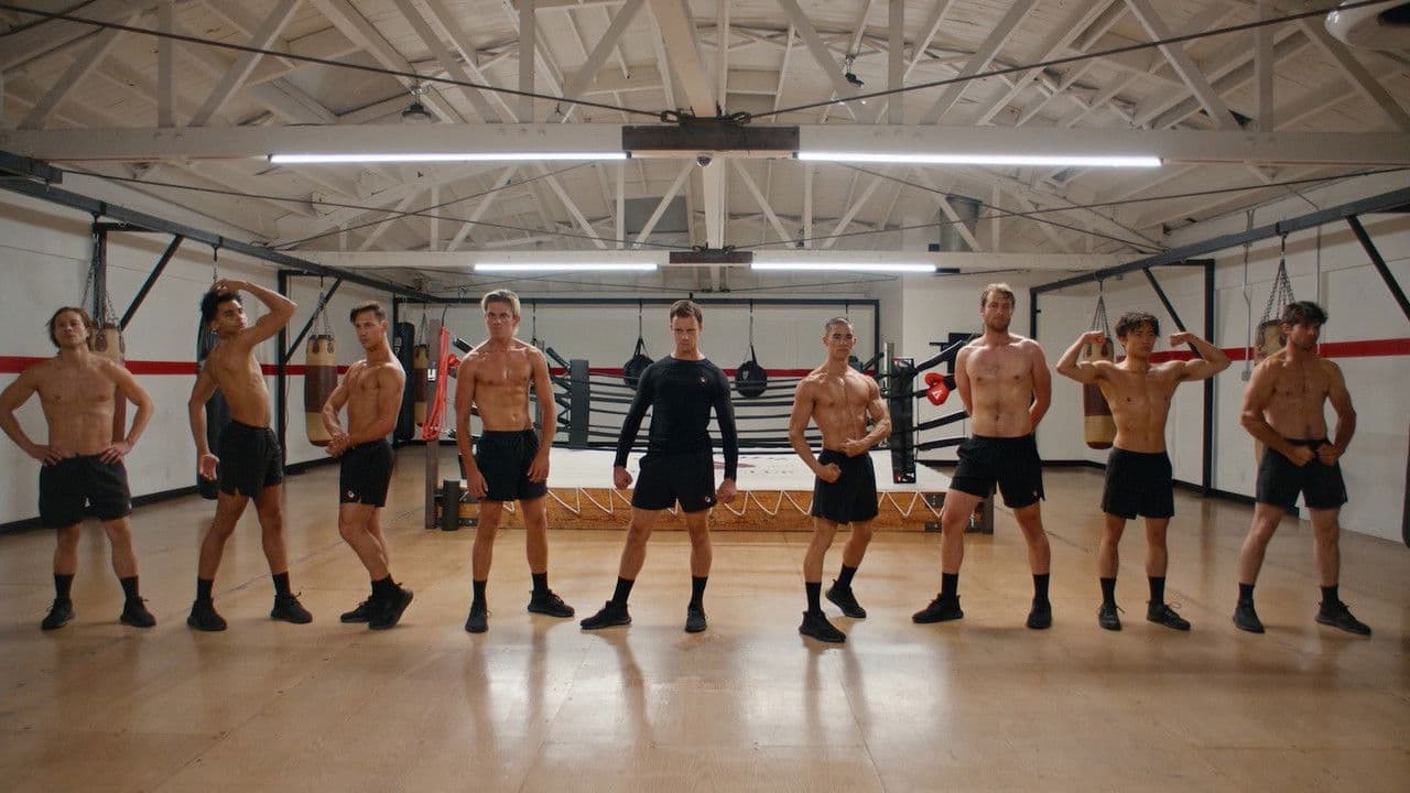 Blood Boys Banner