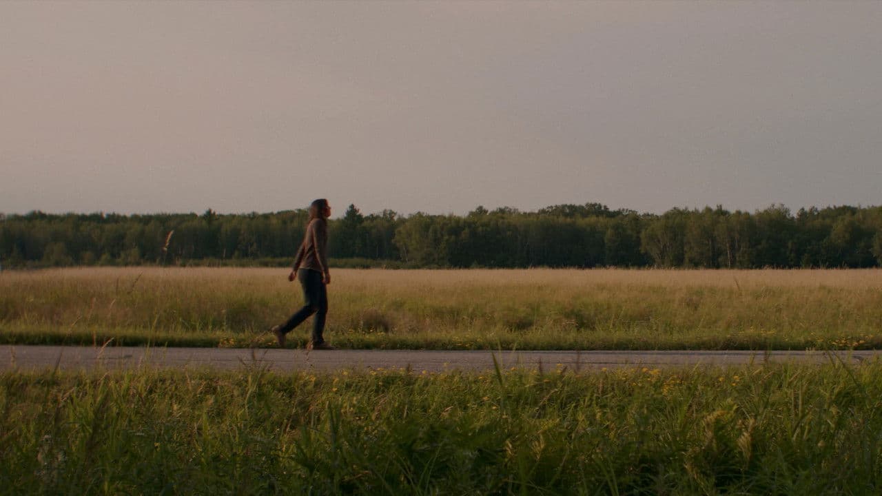 Blossom Needs A Ride Home Banner