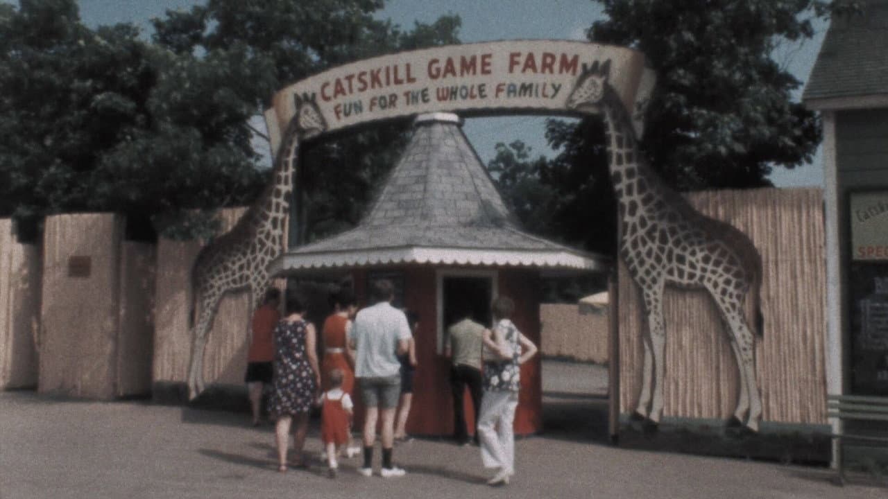 American Zoo Banner