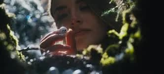 The Lemon Yellow Tights with Cats Banner