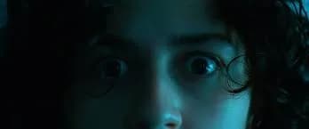 The Hand of Darkness Banner