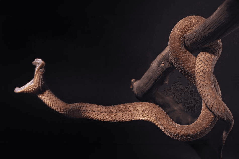 Monsters of God Banner