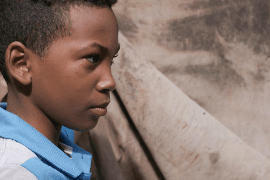 Agridulce (Bittersweet) Banner