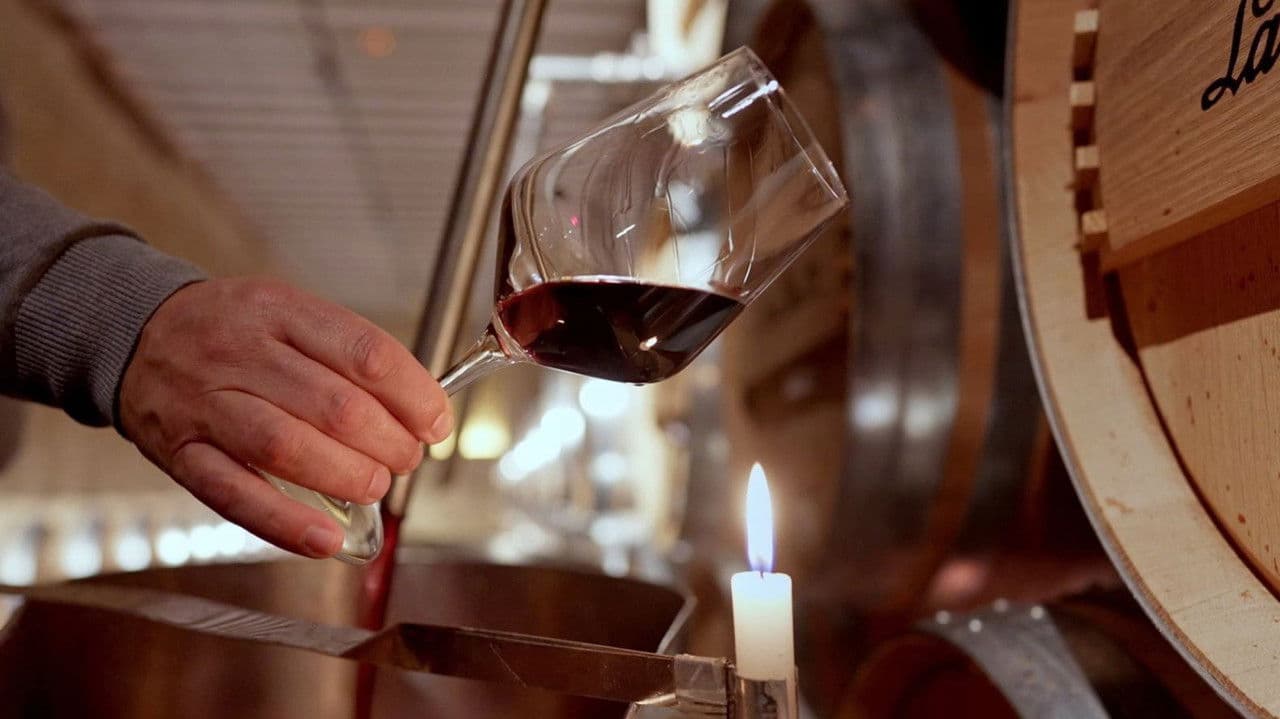 Rioja: The Land of a Thousand Wines Banner