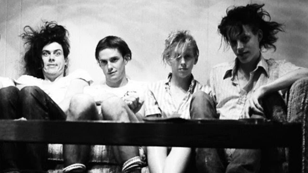 Butthole Surfers: The Hole Truth and Nothing Butt Banner