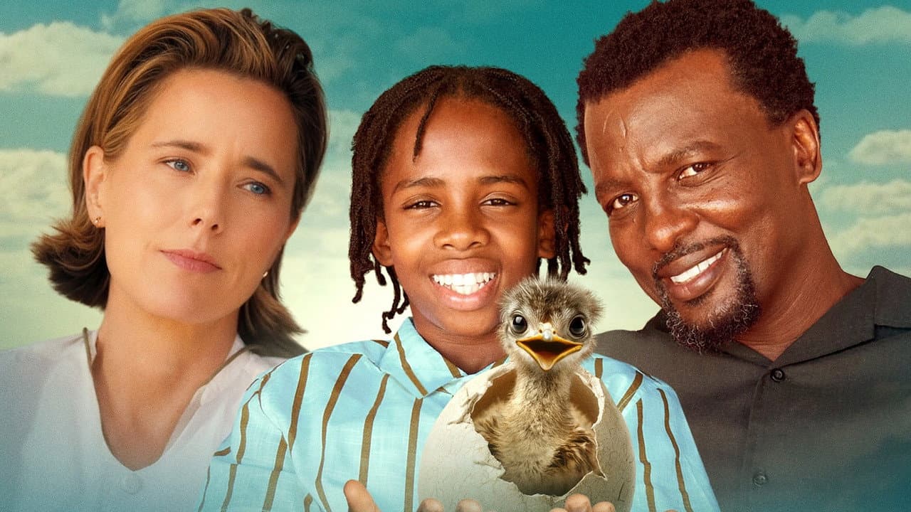 Bird Boy Banner