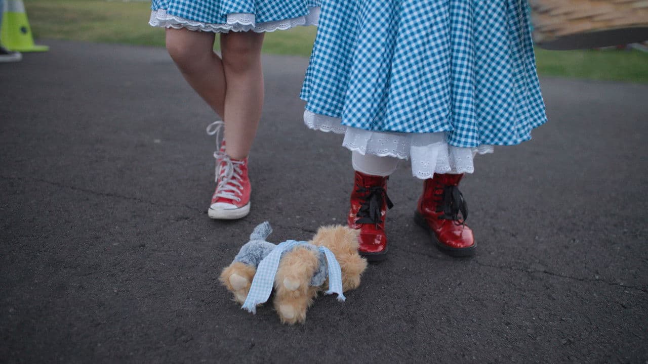 It's Dorothy! Banner