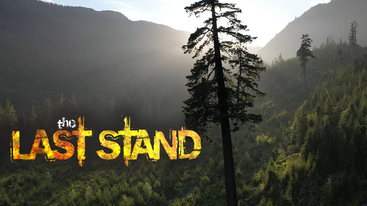 The Last Stand Banner