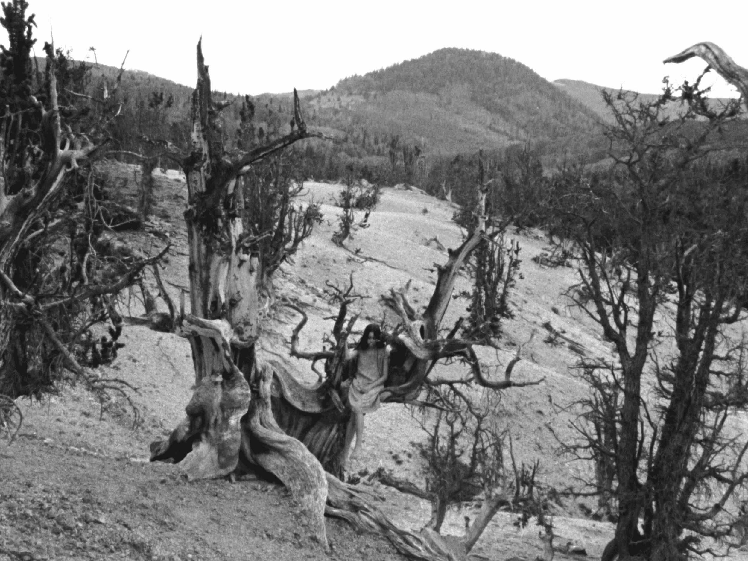 Now That We Are Sending You to The End Banner