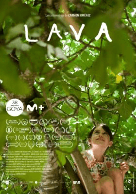 Lava Banner