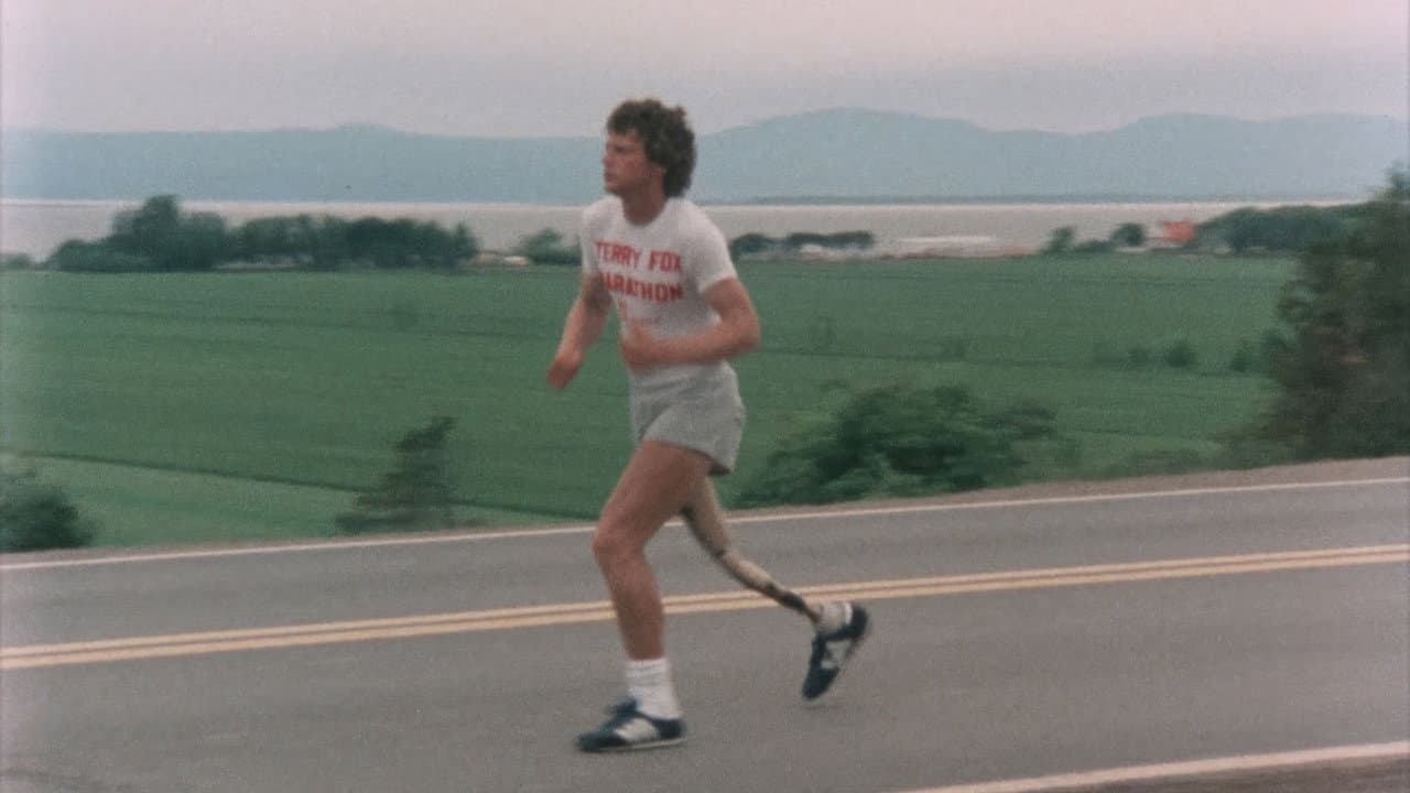 Run Terry Run Banner