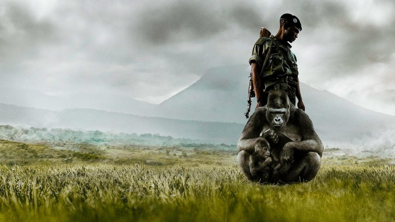 Virunga Banner