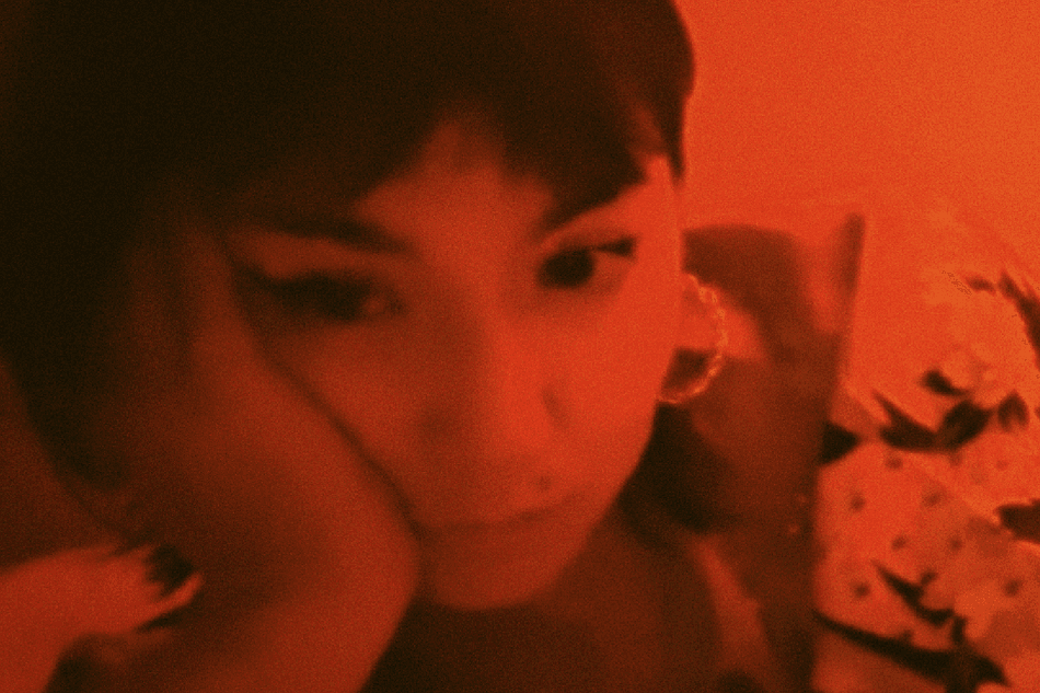 How To Catch A Butterfly Banner