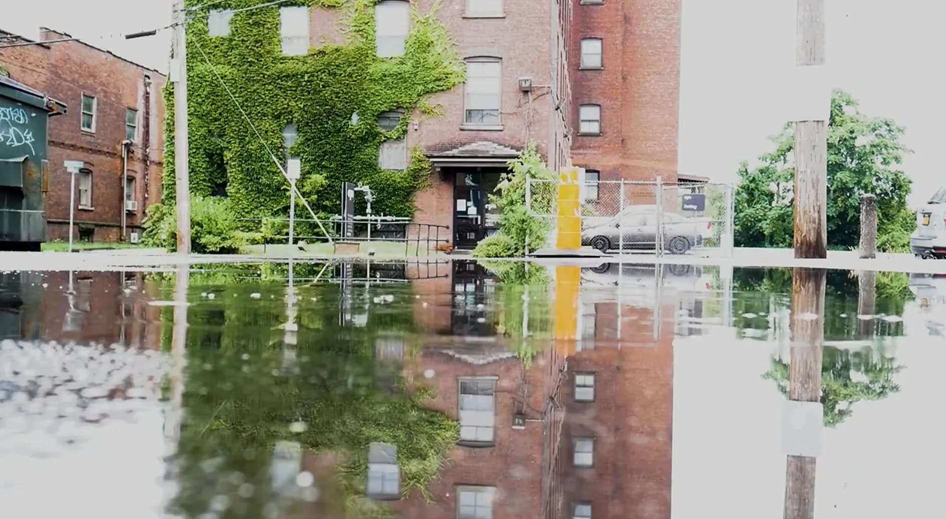 Search for Expression Banner