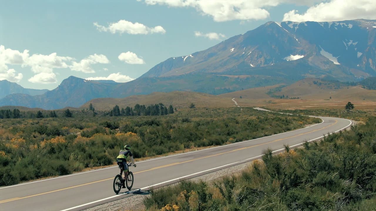 Sierra 914 Banner