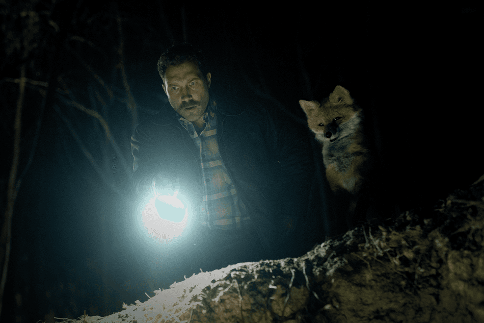 The Fox poster