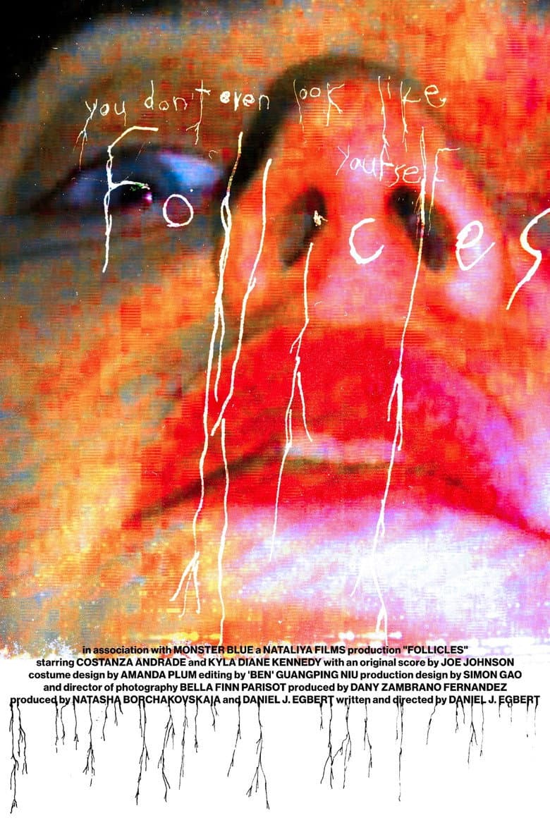 FOLLICLES Banner