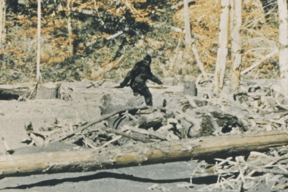 Capturing Bigfoot