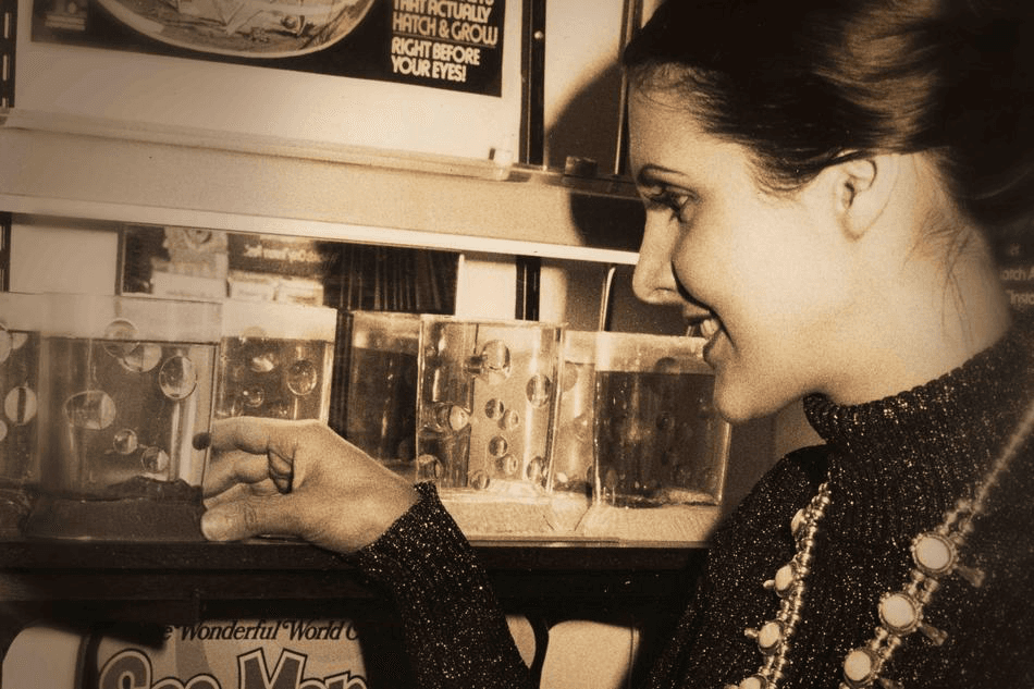 Amazing Live Sea Monkeys