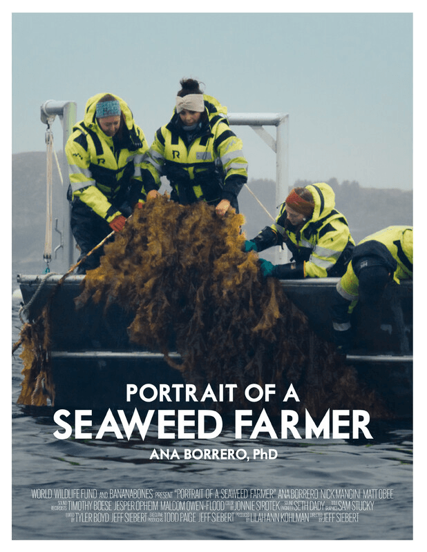 Portrait of a Seaweed Farmer: Ana Borrero, PhD Banner