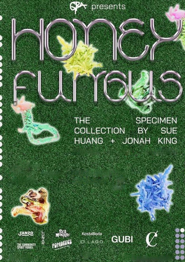 Honey Fungus