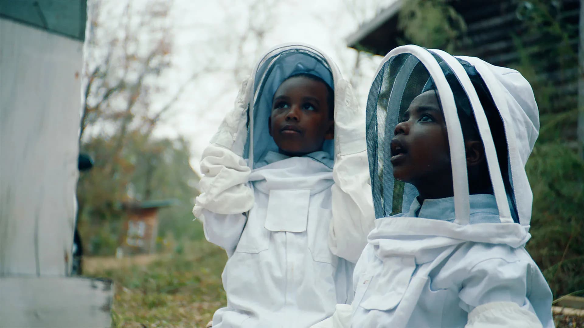 The Boys and the Bees