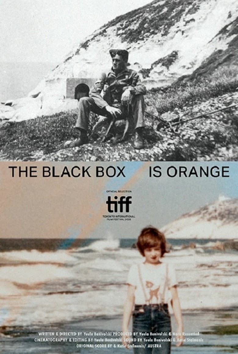 The Black Box is Orange poster