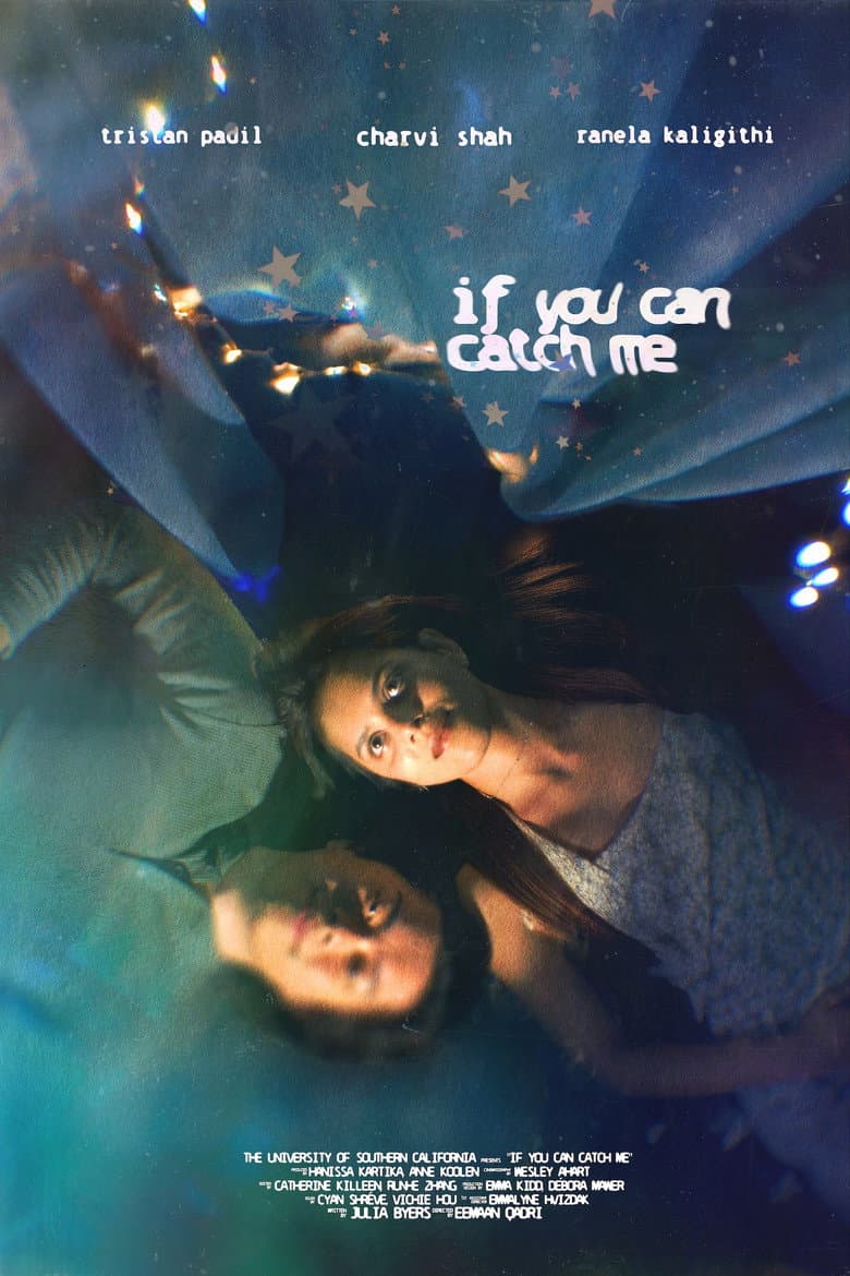 If You Can Catch Me Banner