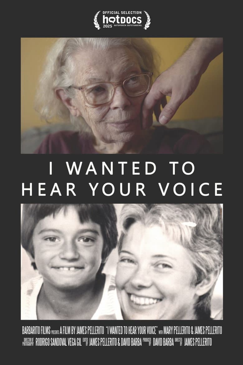 I Wanted To Hear Your Voice poster
