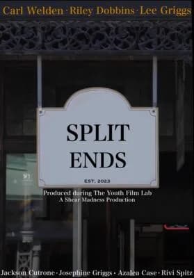 Split Ends poster