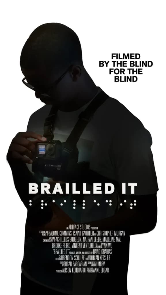 BRAILLED IT poster