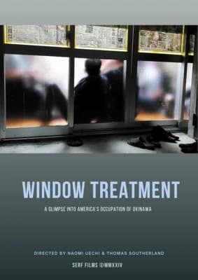 Window Treatment poster