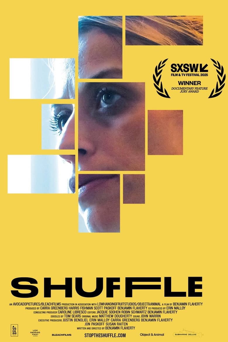 Shuffle poster