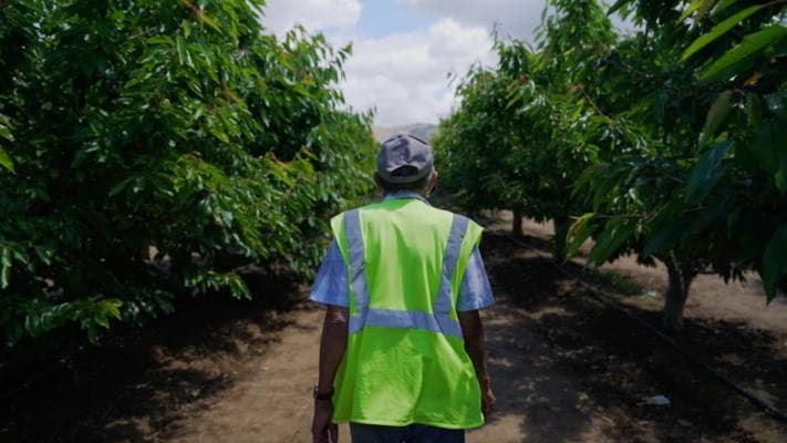 Campesinos: America's Unsung Heroes