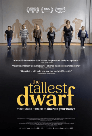 The Tallest Dwarf poster