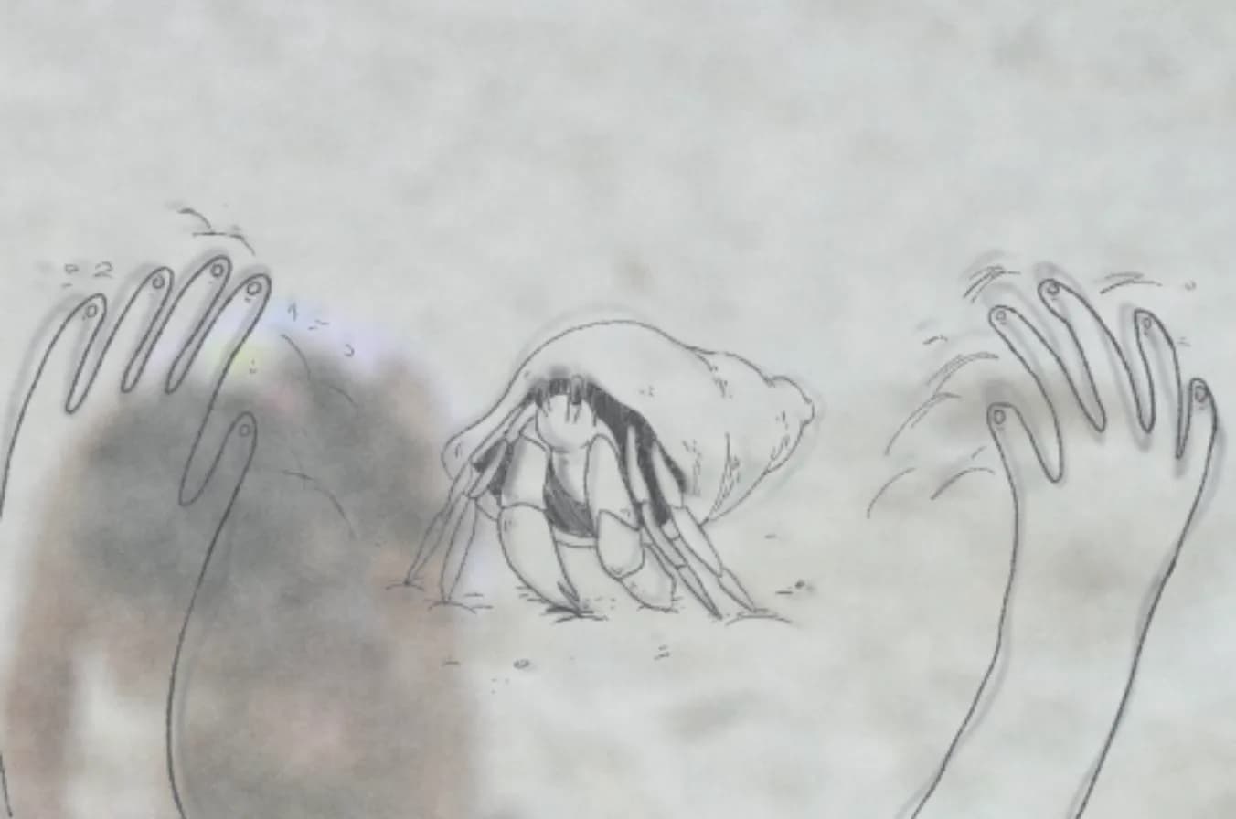 The Hermit Crab poster