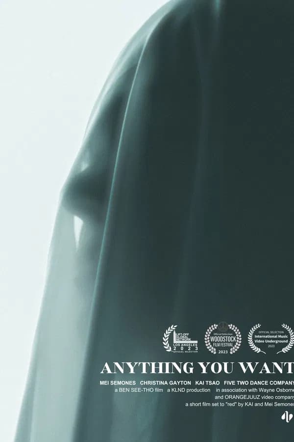 Anything You Want poster