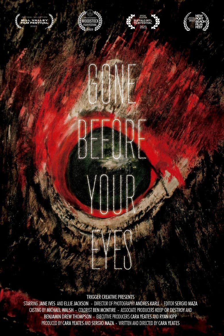 Gone Before Your Eyes poster